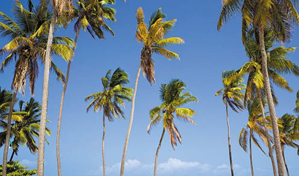 Swahili Culture Zanzibar