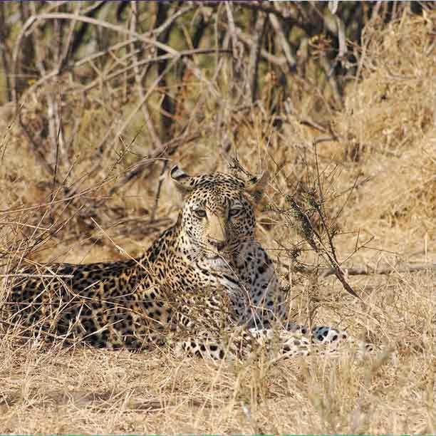 Tarangire National Park