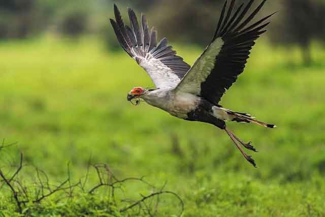 Tarangire National Park - Image 1