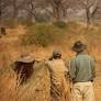 Ngorongoro  National Park tours
