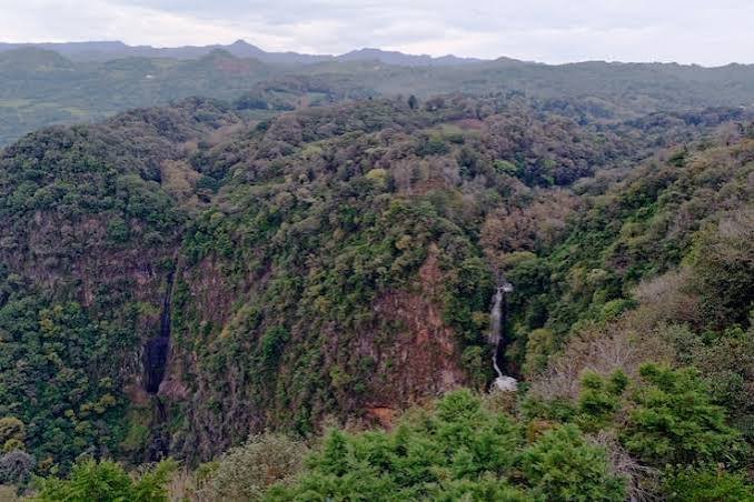 Udzungwa Mountains National Park – 2-Day Safari Adventure - Image 1