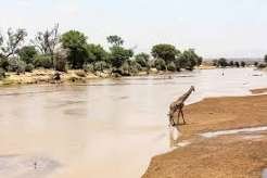 Lake Eyasi Cultural Safari – Wachukili Adventure - Image 2