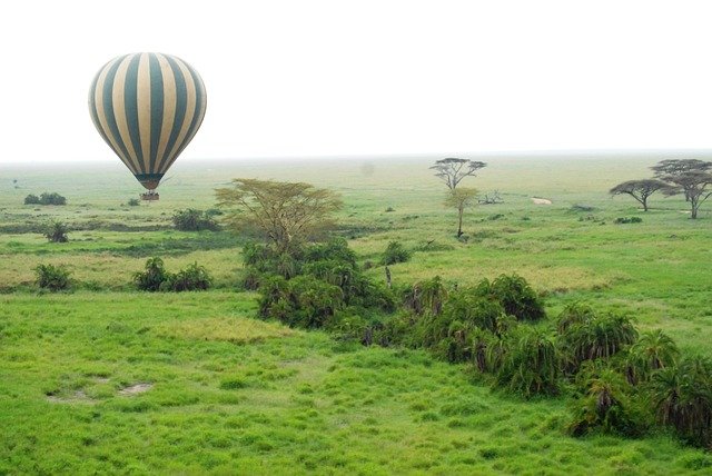 Tarangire & Ngorongoro Crater Safari - Image 1