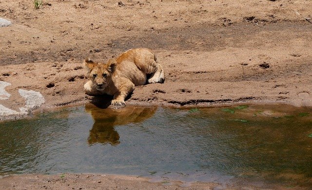 Tarangire & Lake Manyara Safaris adventure