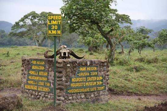 Lake Manyara & Tarangire Safari