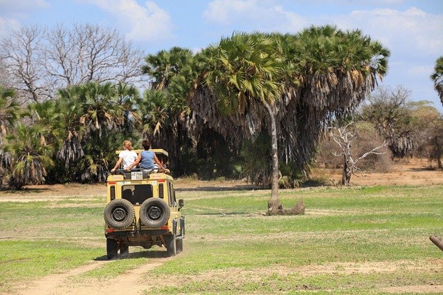 Arusha National Park & Tarangire Safari