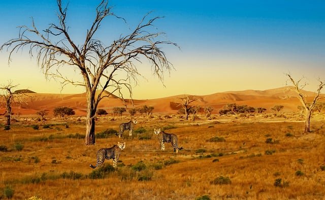 Lake Manyara & Arusha National Park Safari