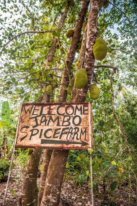 Zanzibar Spice Farm Tours
