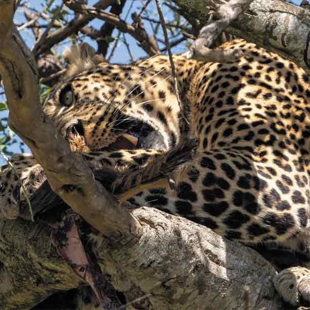 Lake Manyara National Park - Image 1