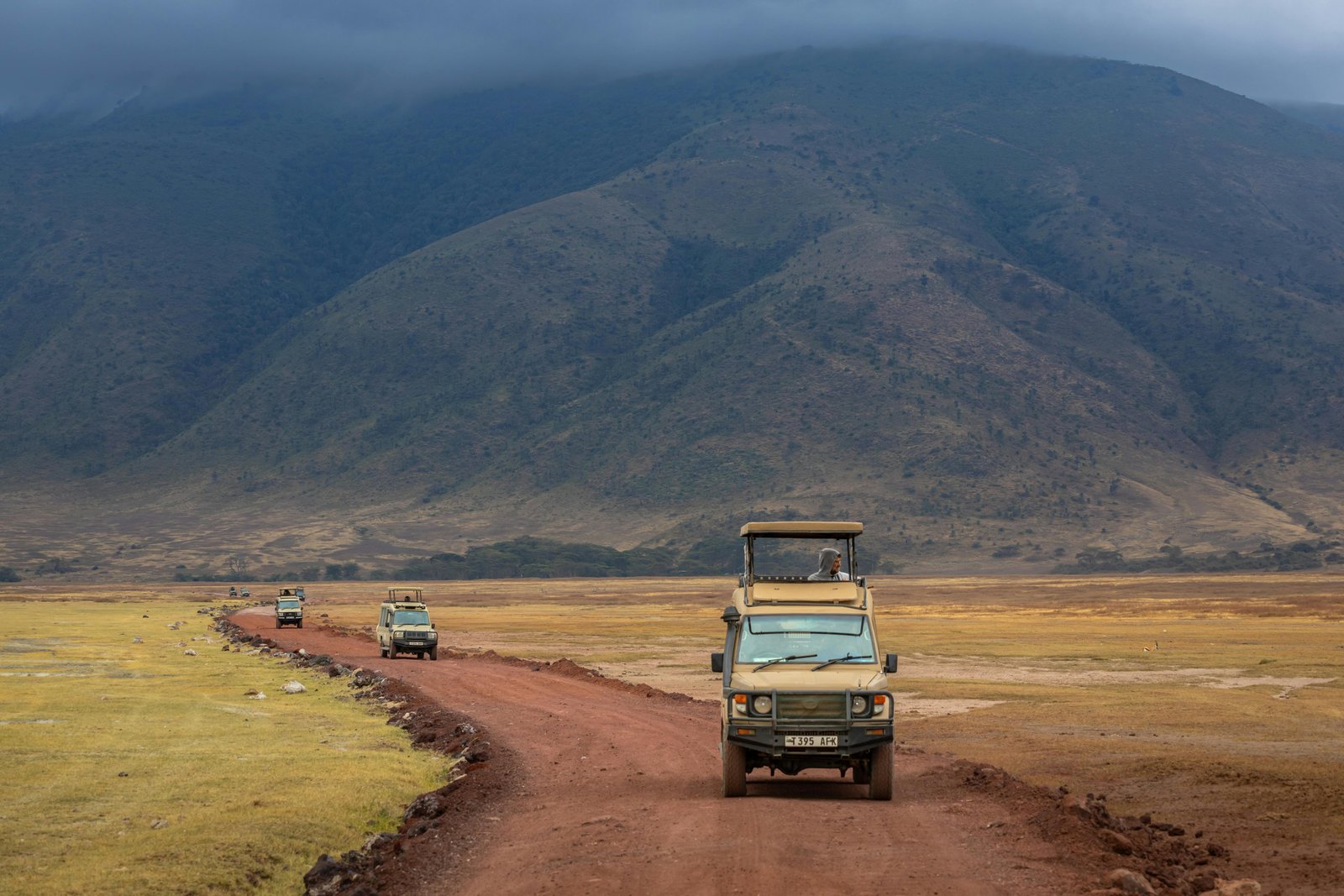 Ngorongoro Crater Safaris - Image 3