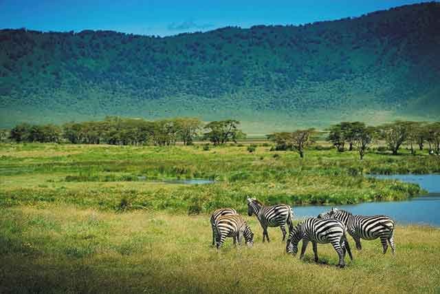 Arusha & Ngorongoro Crater