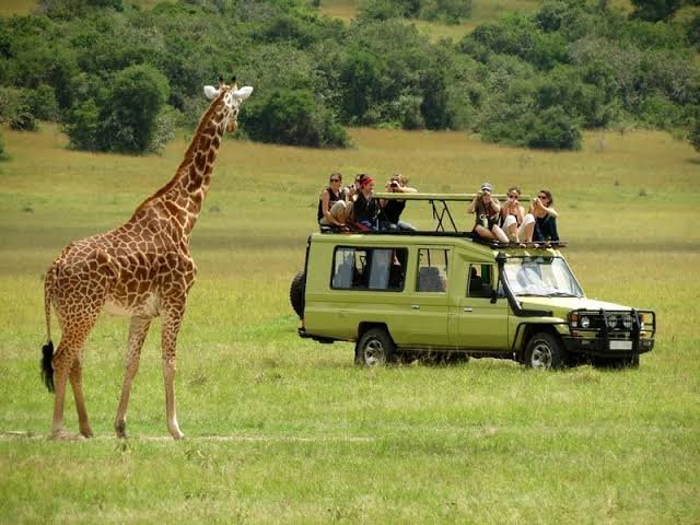 Tarangire & Lake Manyara Safaris adventure