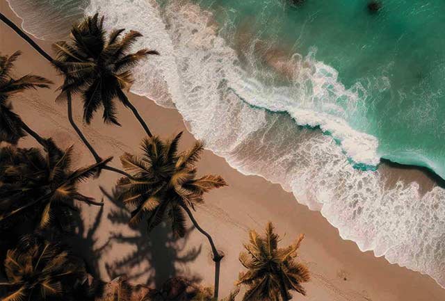 Best Zanzibar Safaris adventures