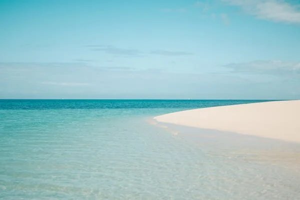 Best Zanzibar Safaris adventures - Image 2