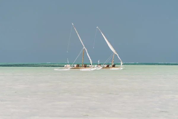 Best Zanzibar Safaris adventures